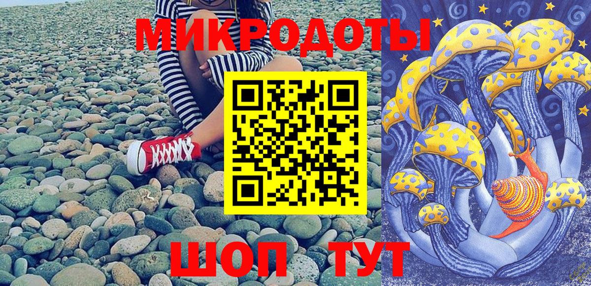 закладки  Псилоцибиновые грибы мицелий  Зима  Вход с VPN  Псилоцибиновые грибы Cubensis 